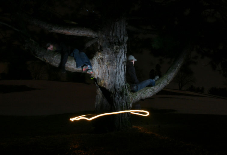 Tree Ring