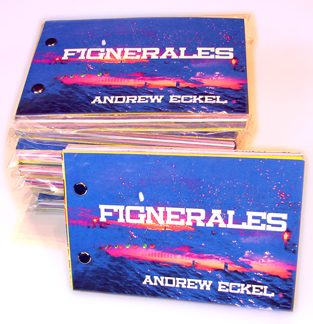 Fignerales book