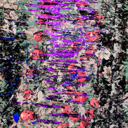 These Hooligans single cover image